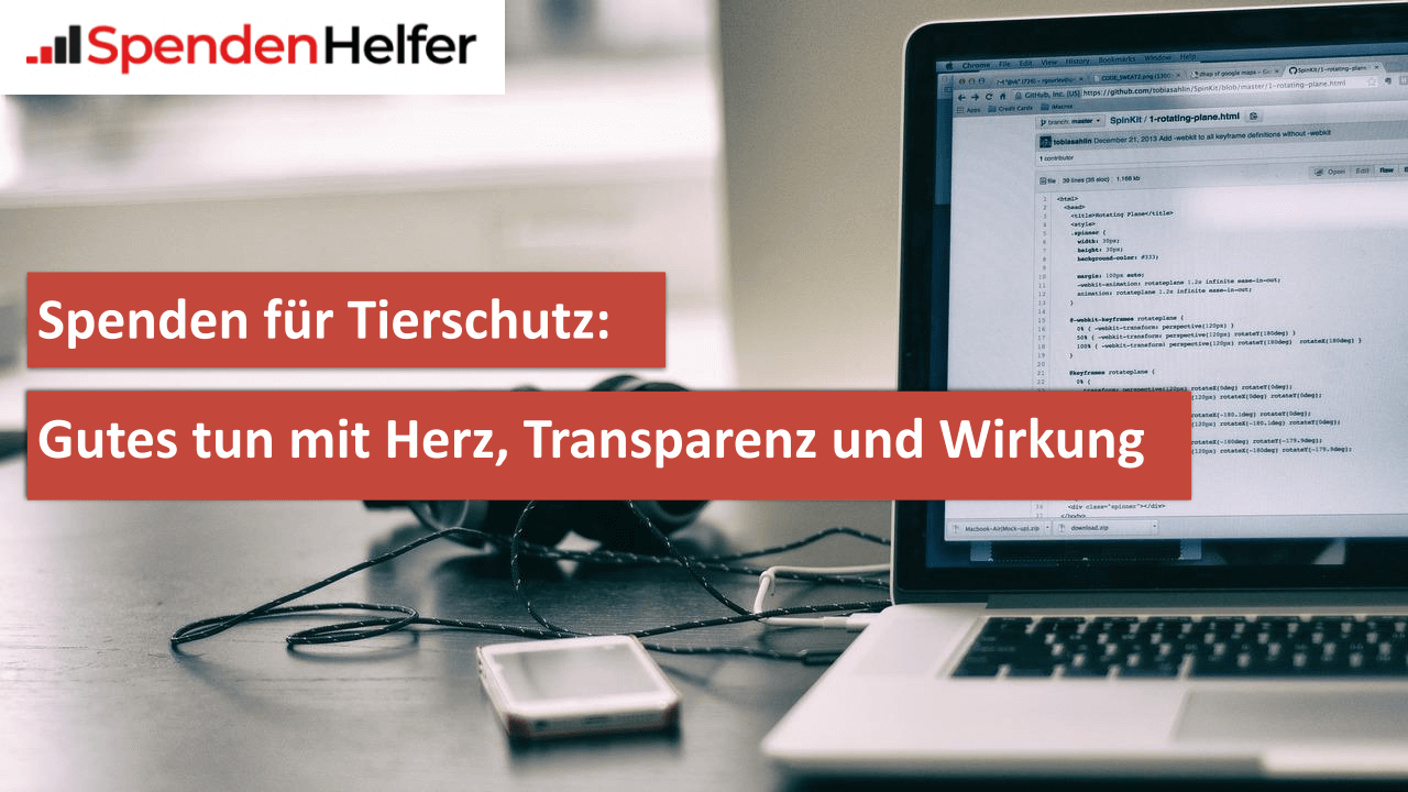 Spenden für Tierschutz Gutes tun mit Herz, Transparenz und Wirkung