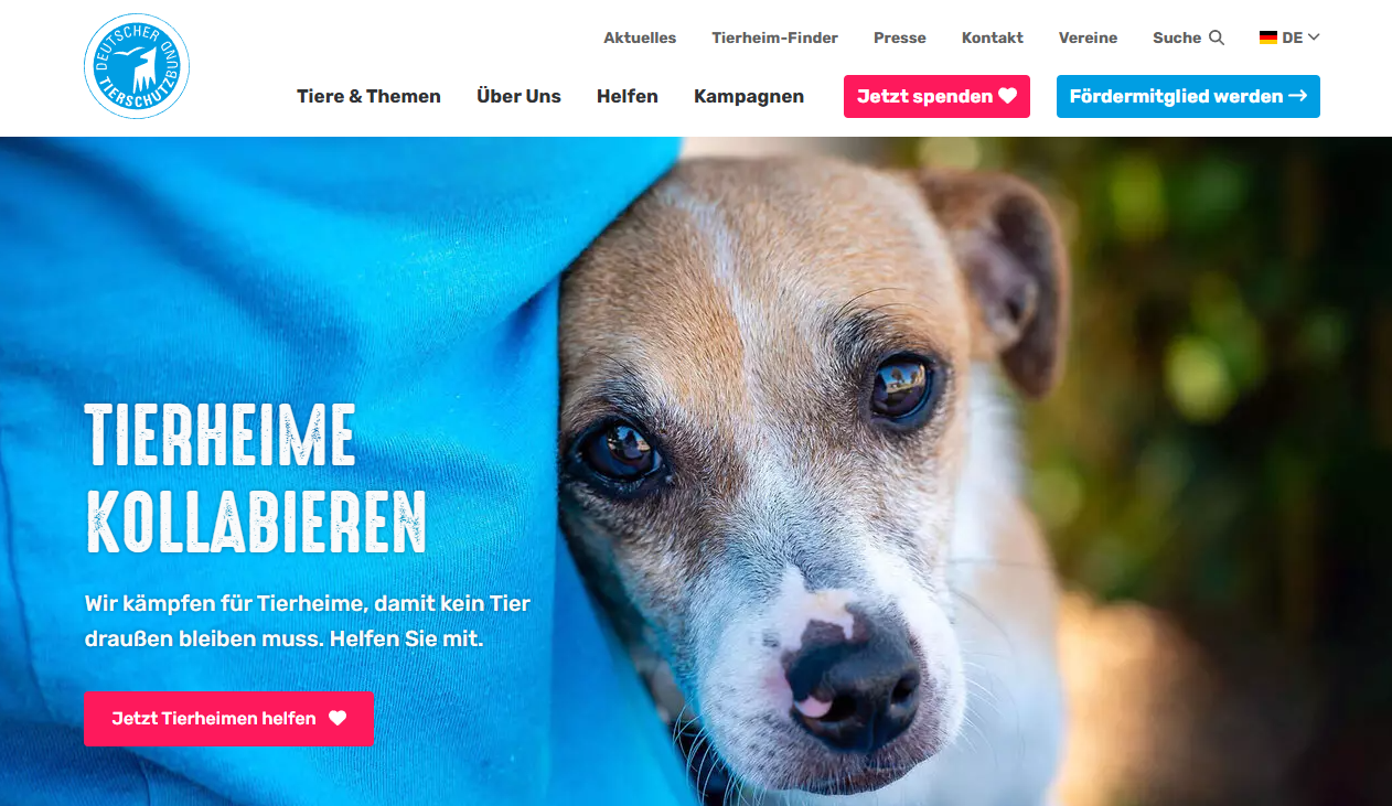 Was bedeutet Spenden für Tierheime