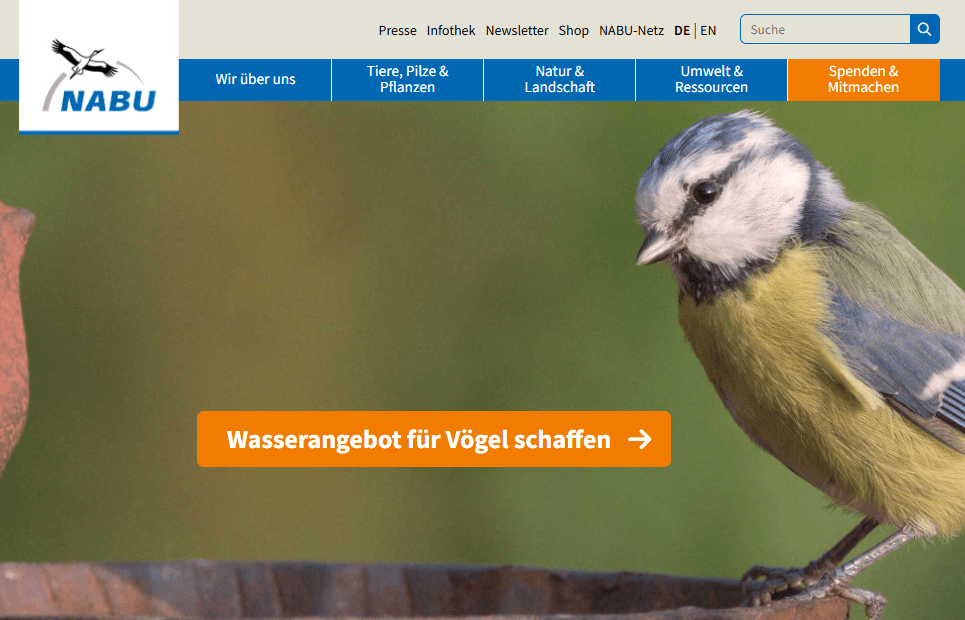 Welche Begriffe sind mit dem Thema verwandt