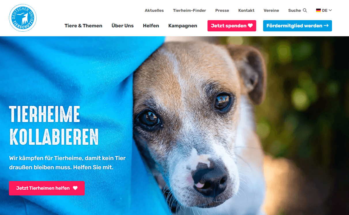 Welche Spendenplattformen oder Portale bieten Orientierung